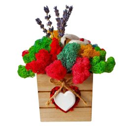 Aranjament cadou cu licheni si flori uscate Buchet Multicolor, 12x15 cm, AMB164