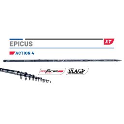 BOLOGNEZA EPICUS 5.3M Medium