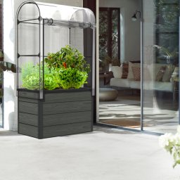 Jardiniera cu sera Keter Maple, gradina, terasa sau balcon, polipropilena, aspect lemn natural, pentru cresterea plantelor si legumelor, forma dreptunghiulara, gri, rezistenta UV