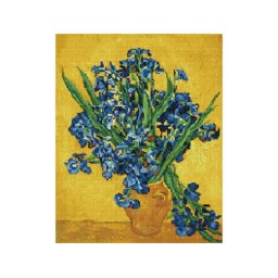 Set goblen cu diamante, cu sasiu, Irisi - Van Gogh, 40x50 cm