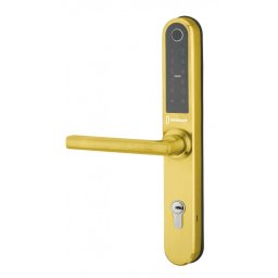Maner electronic interax 85 mm INTELOCK, finisaj auriu