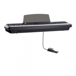 PEARL RIVER P200 SINGLE BK