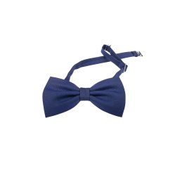 Papion lana Gentlemen`s Corner - Albastru texturat