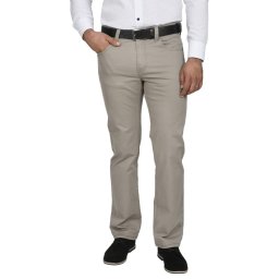 Pantaloni barbati, regular fit, gri deschis (Marime pantalon: W43)
