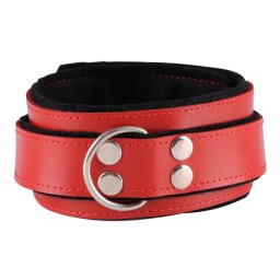 Dominate Me Leather Collar D34 Red-Black