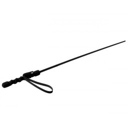 Mistress by Isabella Sinclaire Intense Impact Cane