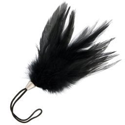 Darkness Black Feather