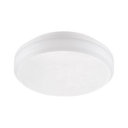 Emithor 63207 - Plafonieră tehnică LED SURFACE LED/30W/230V IP65