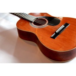 Hora Standard M 1/2 Brown