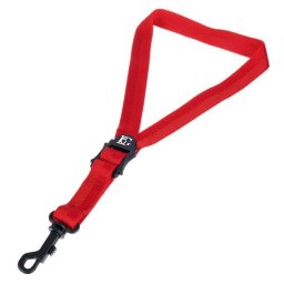 BG France S39SH