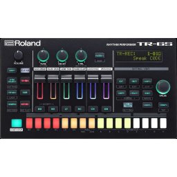Roland TR-6S