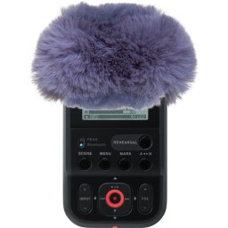 Roland R07-WS