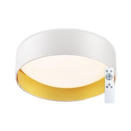 Plafonieră LED dimabilă LED/24W/230V albă Top Light + telecomandă