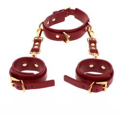 Taboom Bondage in Luxury D-Ring Collar and Wrist Cuffs Red