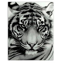 Set goblen cu diamante, cu sasiu, Privire inteleapta, 40x50 cm