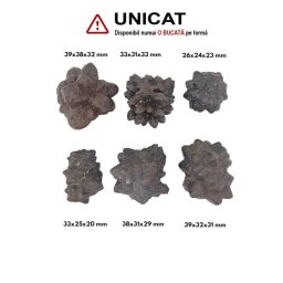 Piatra Profetiei Bruta Naturala - 26-39 x 24-38 x 20-33 mm - (XL ) - 1 Buc