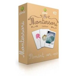 Montessori. Clasificare: Pamant, aer, apa