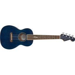 Fender Dhani Harrison
