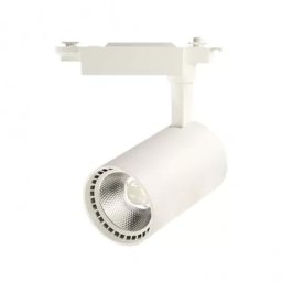 Proiector pe Sina 30W, Lumina Naturala (4000K) Corp Alb