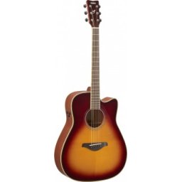 Yamaha FGC-TA BS