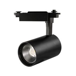 Proiector pe Sina 30W, Lumina Naturala (4000K) Corp Negru