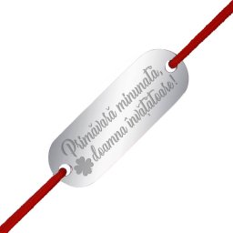Martisor Bratara Inox Placuta Argintie Doamna Invatatoare