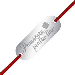 Martisor Bratara Inox Placuta Argintie Primavara pentru Tine