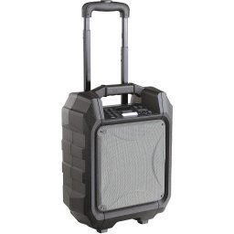 Boxa portabila TES182, 30W, 2 porturi USB, Display LED, AUX, Radio FM , Baterie reincarcabila, Negru/Argintiu