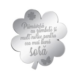 Martisor Brosa Inox Trifoi Argintiu Mesaj Sora
