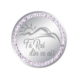 Martisor Brosa Inox Banut Pietre Fa Rai din ce ai Argintiu