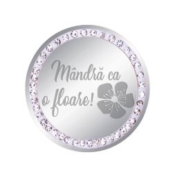 Martisor Brosa Inox Banut Pietre Mandra Floare Argintiu