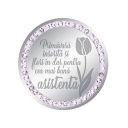 Martisor Brosa Inox Banut Pietre Mesaj Asistenta Argintiu