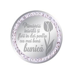 Martisor Brosa Inox Banut Pietre Mesaj Bunica Argintiu