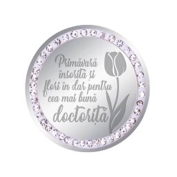 Martisor Brosa Inox Banut Pietre Mesaj Doctorita Argintiu