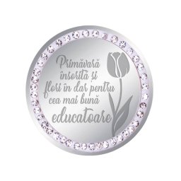 Martisor Brosa Inox Banut Pietre Mesaj Educatoare Argintiu