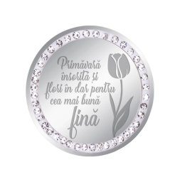 Martisor Brosa Inox Banut Pietre Mesaj Fina Argintiu