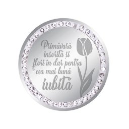 Martisor Brosa Inox Banut Pietre Mesaj Iubita Argintiu