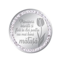 Martisor Brosa Inox Banut Pietre Mesaj Matusa Argintiu