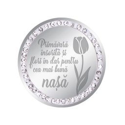 Martisor Brosa Inox Banut Pietre Mesaj Nasa Argintiu