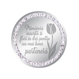 Martisor Brosa Inox Banut Pietre Mesaj Partenera Argintiu