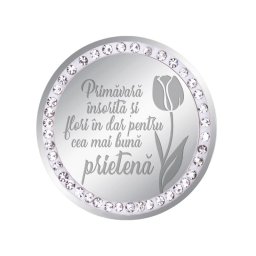 Martisor Brosa Inox Banut Pietre Mesaj Prietena Argintiu