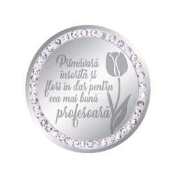 Martisor Brosa Inox Banut Pietre Mesaj Profesoara Argintiu