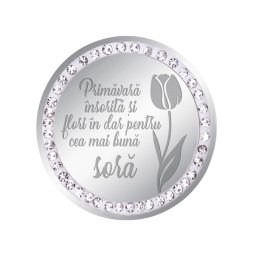 Martisor Brosa Inox Banut Pietre Mesaj Sora Argintiu