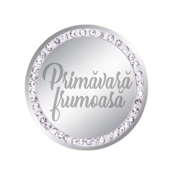 Martisor Brosa Inox Banut Pietre Primavara Frumoasa Argintiu