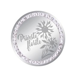 Martisor Brosa Inox Banut Pietre Priveste Florile Argintiu