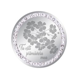 Martisor Brosa Inox Banut Pietre Primavara Mea Argintiu