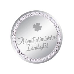Martisor Brosa Inox Banut Pietre A Venit Primavara Argintiu