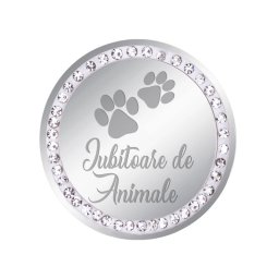 Martisor Brosa Inox Banut Pietre Iubitoare de Animale Argintiu