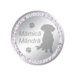 Martisor Brosa Inox Banut Pietre Mamica Catel Argintiu