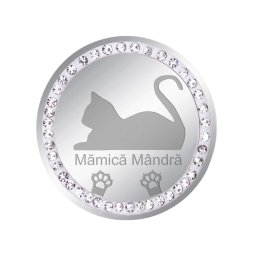 Martisor Brosa Inox Banut Pietre Mamica Pisica Argintiu